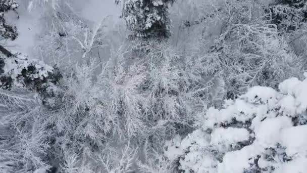 드론으로 겨울에 뒤섞여 있는걸본 봉우리 띄는데 자연의 배경입니다 뒤덮었고 스러운 — 비디오