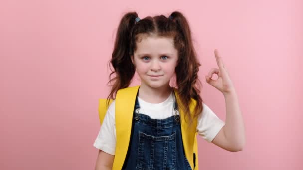 Portrait Attractive Cute Smiling Schoolgirl Showing Okay Gesture Wears Backpack — Stock Video