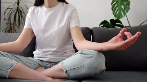 Concentration Sélective Jeune Femme Assise Jambes Croisées Sur Canapé Pose — Video