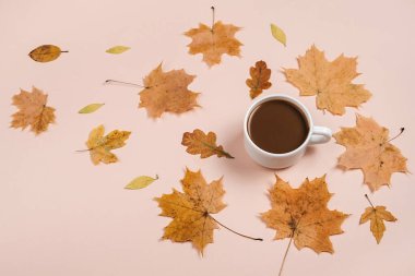 Sonbahar dairesi kuru yapraklar ve pastel bej arka plan duvarında kahve fincanı ile yatıyordu. Reklam için fotokopi alanı da vardı. Şükran Günü, Sonbahar, Cadılar Bayramı konsepti. Yaratıcı bileşim