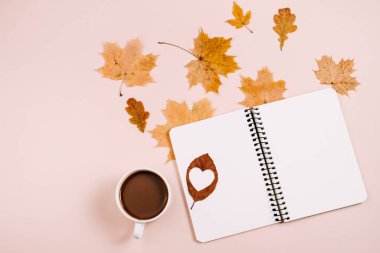 Stüdyoda sonbahar düzlükleri üst tarafta kahve fincanı, kurumuş akçaağaç yaprakları ve pembe renkli arka plan duvarında defter vardı. Feminen blog sosyal medya için sonbahar şablonu. Yaratıcı bileşim
