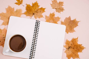 Düz kompozisyon, kuru akçaağaç yaprakları, not defteri ve kahve fincanı stüdyodaki pembe renkli arka plan duvarında. Yaratıcı sonbahar, şükran günü, sonbahar, cadılar bayramı konsepti. Üst görünüm, alanı kopyala