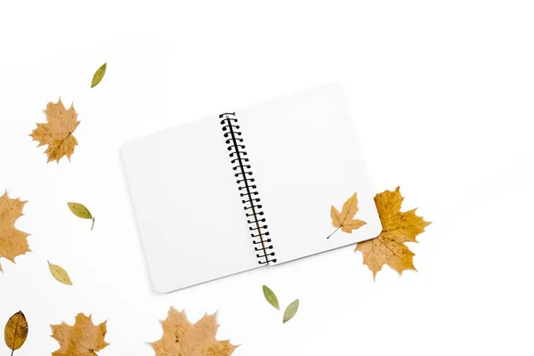 Kreative Komposition Verschiedene Trockene Blätter Und Notizbuch Isoliert Auf Weißem — Stockfoto