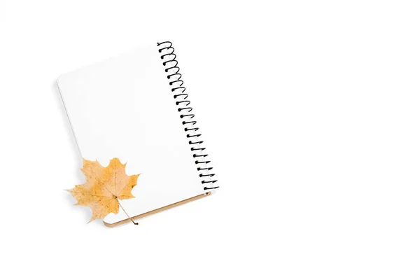 Composition Automne Hiver Carnet Érable Feuilles Automne Sec Sur Fond — Photo