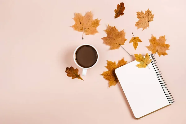 Herfstcompositie Gedroogde Diverse Bladeren Hete Koffiebeker Notebook Roze Kleur Achtergrond — Stockfoto