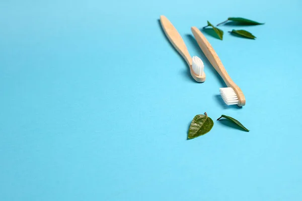 Two Wooden Bamboo Eco Friendly Toothbrushes Green Leaf Blue Color — Fotografia de Stock