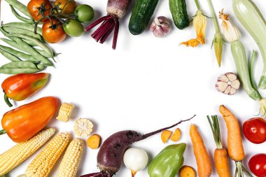 Sonbahar sebzelerinden yapılmış yaratıcı bir düzen. Beyaz stüdyo arka planında domates, soğan, salatalık, havuç, sarımsak, kırmızı pancar, biber, kabak, mısır ve yeşil haricot. Düz konum, üst görünüm, kopyalama alanı