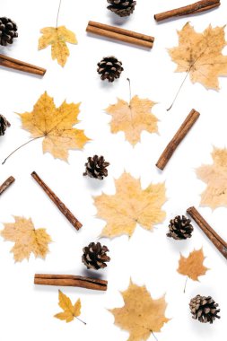 Sonbahar kompozisyonu. Kurumuş akçaağaç yaprakları, tarçın, beyaz stüdyo arka plan duvarında koni deseni. Sonbahar ve Şükran Günü konsepti. Düz konum, üst görünüm, kopyalama alanı