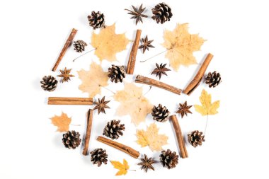 Kurumuş akçaağaç yaprakları, tarçın, beyaz stüdyo arka planında reklam için fotokopi alanı olan koniler. Sonbahar ve Şükran Günü konsepti. Düz yatış, üst görünüm