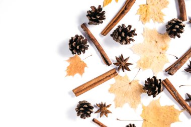 Sonbahar yaratıcı kompozisyonu. Kurumuş akçaağaç yaprakları, tarçın, beyaz stüdyo arka plan duvarında koniler. Sonbahar ve Şükran Günü konsepti. Düz konum, üst görünüm, kopyalama alanı