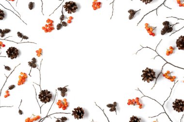 Sonbahar yaratıcı kompozisyonu. Böğürtlen kabuğundan yapılmış kalıp, beyaz stüdyo arka planında külahlar ve promosyon içeriği için fotokopi alanı. Sonbahar, Cadılar Bayramı, Şükran Günü konsepti. Düz yatış, üst görünüm