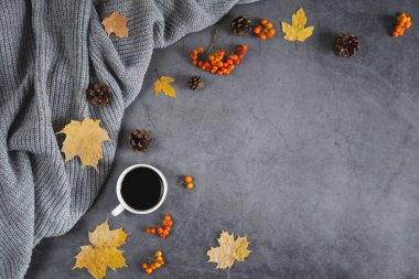 Kış kompozisyonu. Sıcak fincan kahve, rahat gri süveter, koni, böğürtlen otu ve gri beton arka planda sonbahar yaprakları. Sonbahar, kış konsepti. Düz konum, üst görünüm, reklam için kopyalama alanı