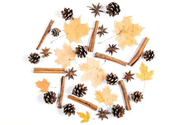 Kurumuş akçaağaç yaprakları, tarçın, beyaz stüdyo arka planında reklam için fotokopi alanı olan koniler. Sonbahar ve Şükran Günü konsepti. Düz yatış, üst görünüm