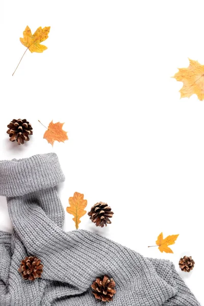 Autumn Creative Composition Maple Leaves Cones Cozy Sweater White Studio — Stock Photo, Image