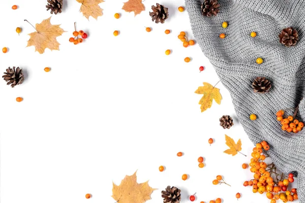 Autumn Creative Composition Maple Leaves Cones Grey Cozy Sweater Red — Stock Photo, Image