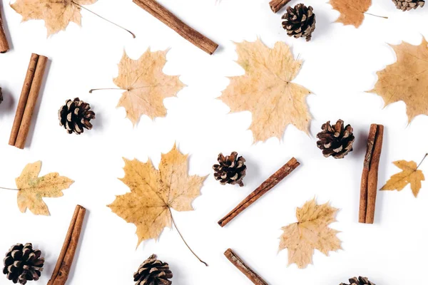 Fall Composition Dried Maple Leaves Cinnamon Cones White Studio Background — Stockfoto