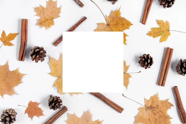 Herbstliche Komposition Getrocknete Ahornblätter Zimt Zapfen Und Weißer Rahmen Auf — Stockfoto