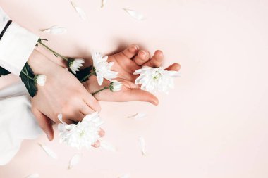 Güzel bahar beyaz çiçekleri olan güzel kadın elleri. Reklam için fotokopi alanı olan pastel pembe arka plan duvarındaki yaratıcı fotoğrafçı kız. Cilt bakımı, moda konsepti