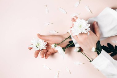 Güzel kadın elleri ve pembe arka plan duvarında taze beyaz çiçekler fotokopi alanı olan stüdyoda. Doğal kozmetik ürünleri ve el bakımı, nemlendirici ve kırışıklık azaltma, cilt bakımı