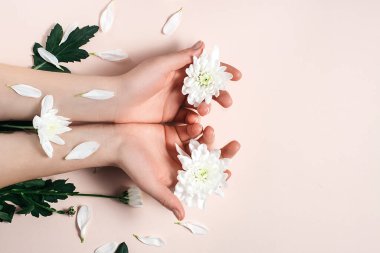 Pembe stüdyo arka plan duvarında minimalist tarzda fotokopi alanı olan beyaz çiçeklerle süslenmiş güzel kadınların ellerinin yaratıcı görüntüsü. Kadınsı blog, sosyal medya, güzellik kavramını tasvir et