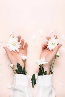 Beyaz yaz çiçekleriyle süslenmiş güzel kadın ellerinin yaratıcı bir görüntüsü. Renkli pastel arka plan duvarında minimalist tarzda izole edilmiş. Kadınsı blog, sosyal medya, güzellik kavramlarını tasvir et