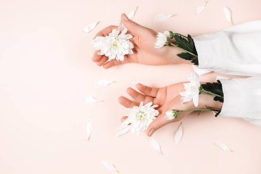Stüdyoda, pastel pembe arka plan duvarında taze çiçekli güzel kadın elleri ve promosyon içeriği için fotokopi alanı. El derisi bakımı için doğal kozmetik. Düzlük, moda konsepti