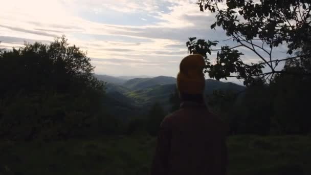 Vista Posteriore Bella Giovane Donna Stare Mezzo Alla Foresta Guardare — Video Stock