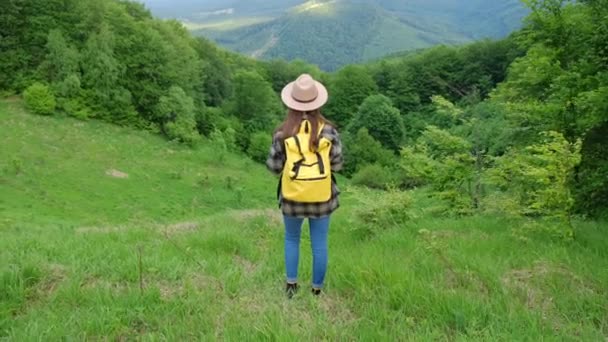 年轻女子徒步旅行的背景图 背着黄色的背包站在背景森林上 活泼健康的高加索女孩喜欢大自然 戴帽子的女旅行者望着群山 旅行概念 — 图库视频影像