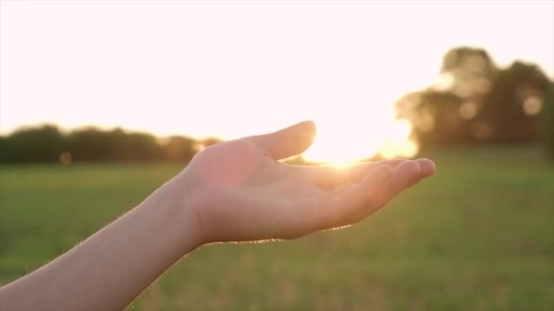 Zbliżenie Żeńskiej Dłoni Dotykające Słońca Piękne Spokojne Światło Słoneczne Przechodzące — Wideo stockowe