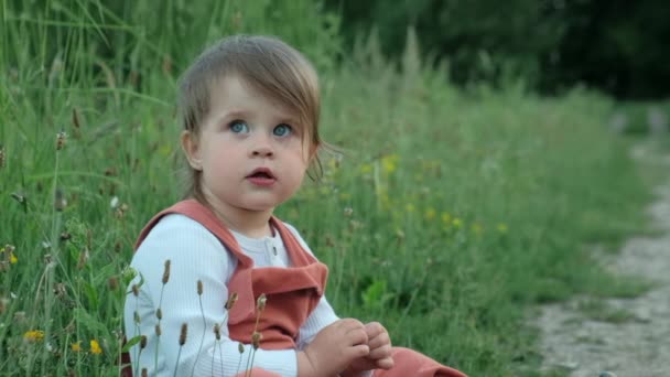 Close Portrait Beautiful Little Girl Child Sitting Big Green Grass — Vídeo de Stock
