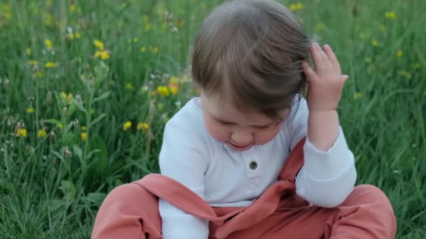 傍晚时分 可爱的小女孩与美丽的花朵一起坐在田野里的特写 很可爱的小孩在夏天的公园里玩耍周末和户外的概念 慢动作 — 图库视频影像