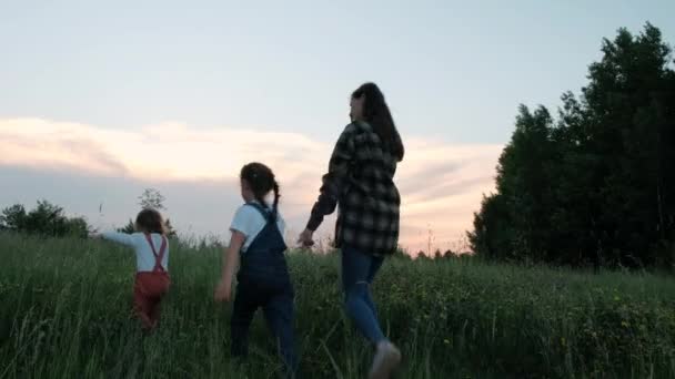 夕阳西下的快乐家庭享受公园 团队合作 暑假周末的概念 可爱有趣的年轻妈妈和嬉笑嬉闹的两个小女儿都是碧绿的草地 背景是五彩斑斓的天空 — 图库视频影像