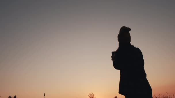 Silhouette Traveling Young Female 20S Using Smartphone Record Video Make — Vídeo de Stock