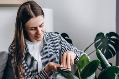 Close up of cute smiling young caucasian woman gardeners watering and cleaning leaves. Home garden concept. Interior with lots of plants. Collection of various tropical green plants in different pots
