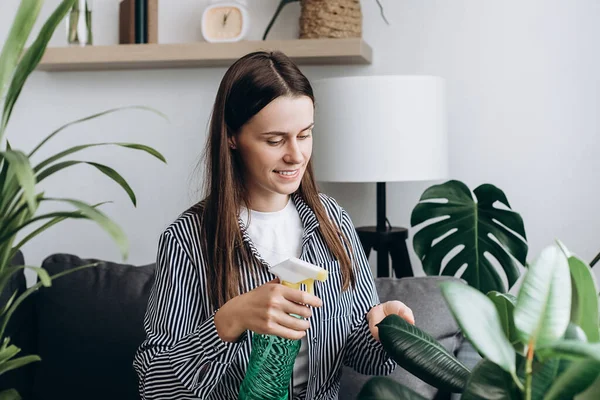 Collection of various tropical green plants in different pots. Positive beautiful young brunette female gardeners watering and cleaning leaves. Home garden concept. Interior with lots of plants