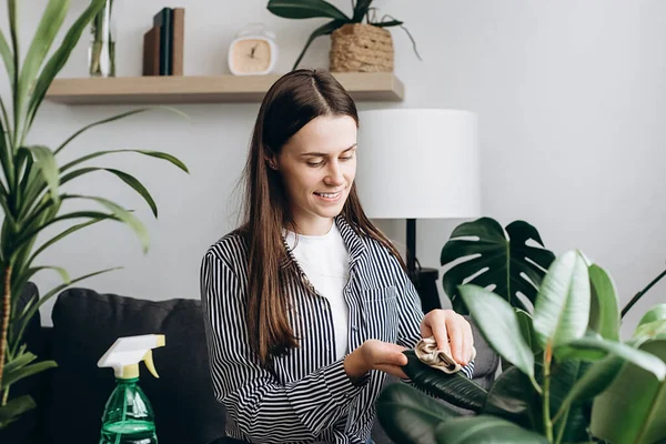 Caring Happy Young Brunette Woman Spraying Houseplant Water Sprayer Cleaning — Foto Stock