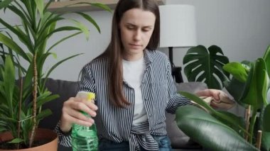 Beautiful caring young brunette female gardeners sit on sofa at home watering and cleaning leaves with wet tissue. Garden concept. Collection of various tropical green plants in different pots