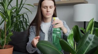 Cute young caucasian woman gardeners watering and cleaning leaves with wet tissue. Home garden concept. Interior with lots of plants. Collection of various tropical green plants in different pots