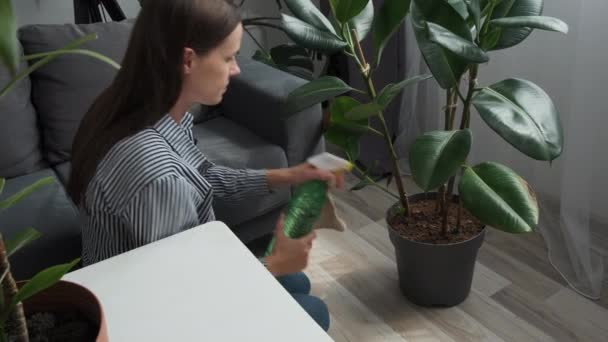 Side View Attractive Young Caucasian Woman Gardener Wearing Shirt Taking — Video