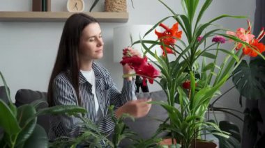 Happy cute young girl sitting on cozy couch at home enjoys smell of fresh flowers. Smiling millennial lady doing household activity pouring flowers growing taking care of houseplant cultivation