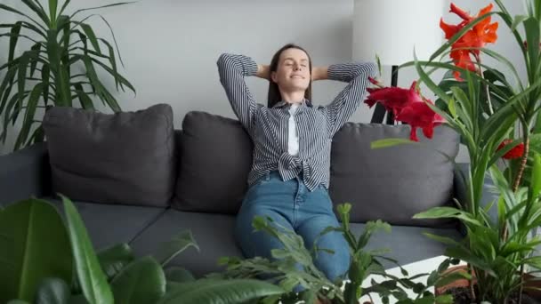 Розслаблена Молода Жінка Поклала Руки Голову Відпочиваючи Вдома Нахилившись Диванні — стокове відео