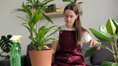 Calm young woman transplants plant in large pot. European lady caring for houseplant. Beautiful brunette female planting flowers. Home hobbies, growing plants, gardener or florist work. Slow motion