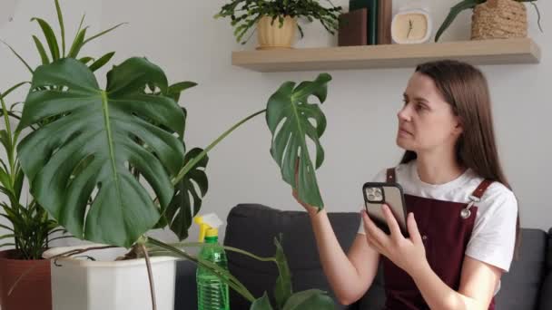 Beautiful Young Female Taking Care Plants Home Calm Girl Sitting — Stock Video