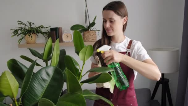 Beautiful Smiling Girl Watering Water Sprayer Small Plant Living Room — Vídeo de Stock