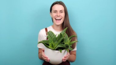 Cheerful attractive young caucasian female plant lover cares about decorative domestic flower, happy looking at camera, posing isolated over blue color background wall in studio. Best hobby concept