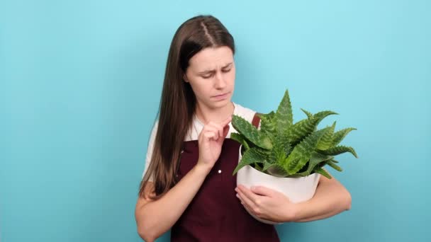 Close Portrait Disappointed Young Brunette Female Holding Plant Diseases Unhappy – Stock-video