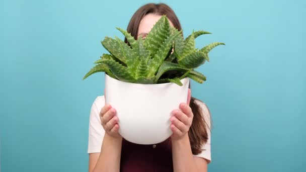 Portrait Funny Smiling Young Woman Holds Pot Green Plant Beautiful — Wideo stockowe