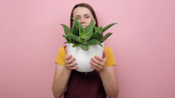 Retrato Engraçado Sorrindo Jovem Mulher Segura Panela Com Planta Verde — Vídeo de Stock