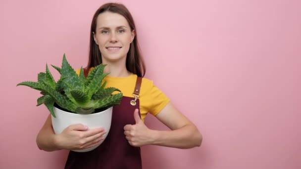 Porträt Einer Lächelnden Jungen Hausfrau Trägt Rote Schürze Hält Zimmerpflanze — Stockvideo