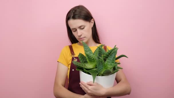 Pochybná Mladá Žena Květinářství Pěstitel Drží Květináči Zelenou Rostlinu Zvedá — Stock video